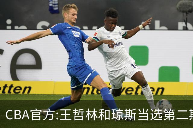 CBA官方:王哲林和琼斯当选第二期月度最佳球员